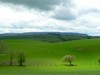 thumbs/glyndwr/tag1_13.jpg