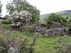 wicklow0006.jpg